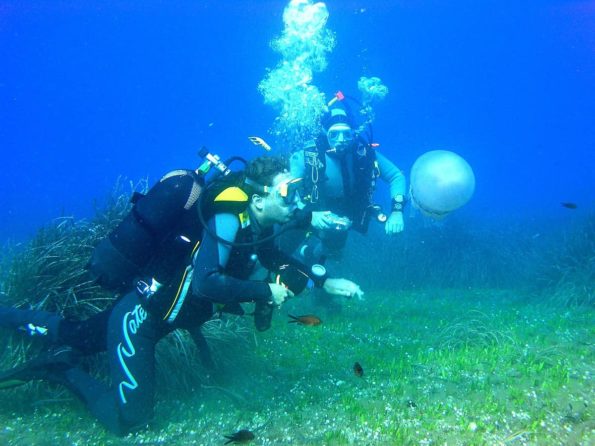 scuba diving elba island italy