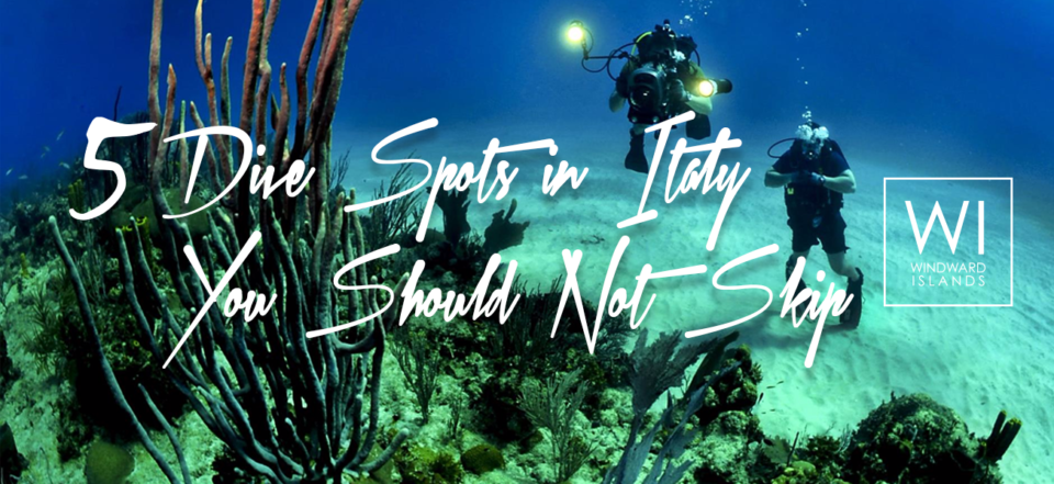 Discover the Best Dive Spots in Italy