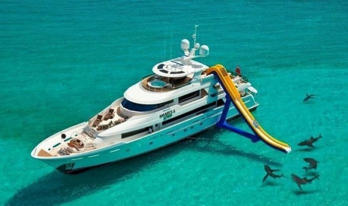 yacht slide sharks