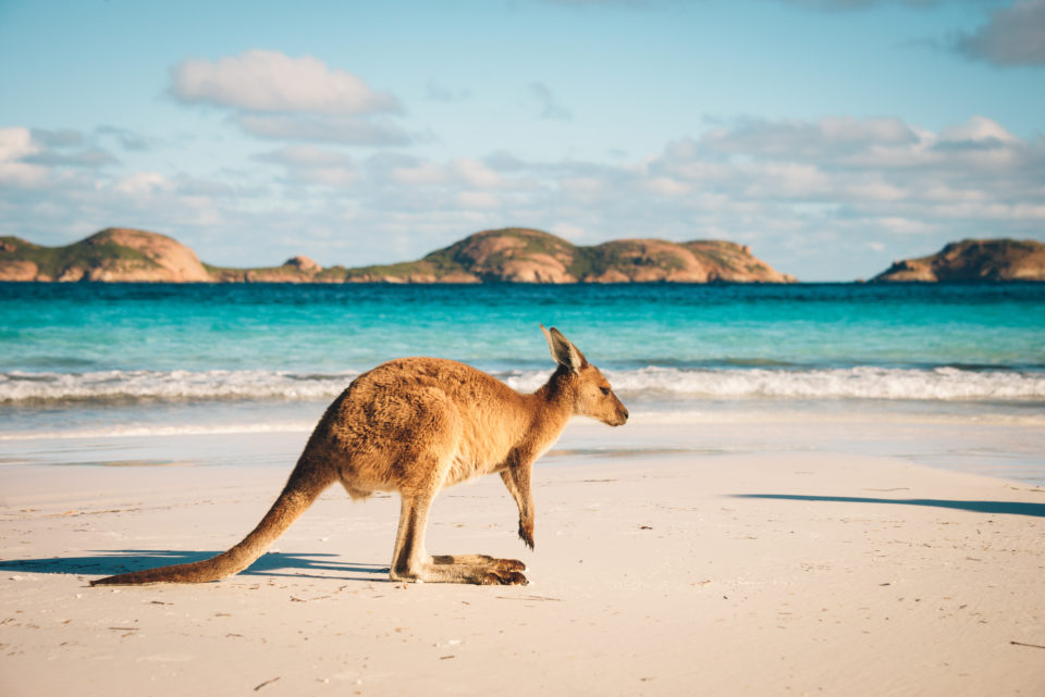 Australia the wildest yacht charter destination