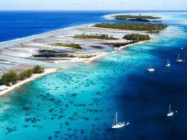 catamaran from florida to bahamas