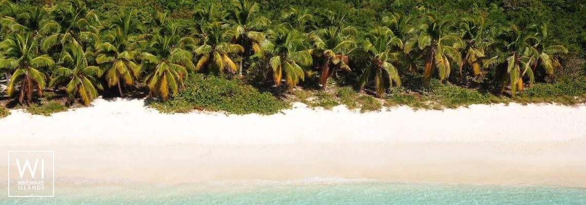 Palm beach British Virgins Islands  - 1